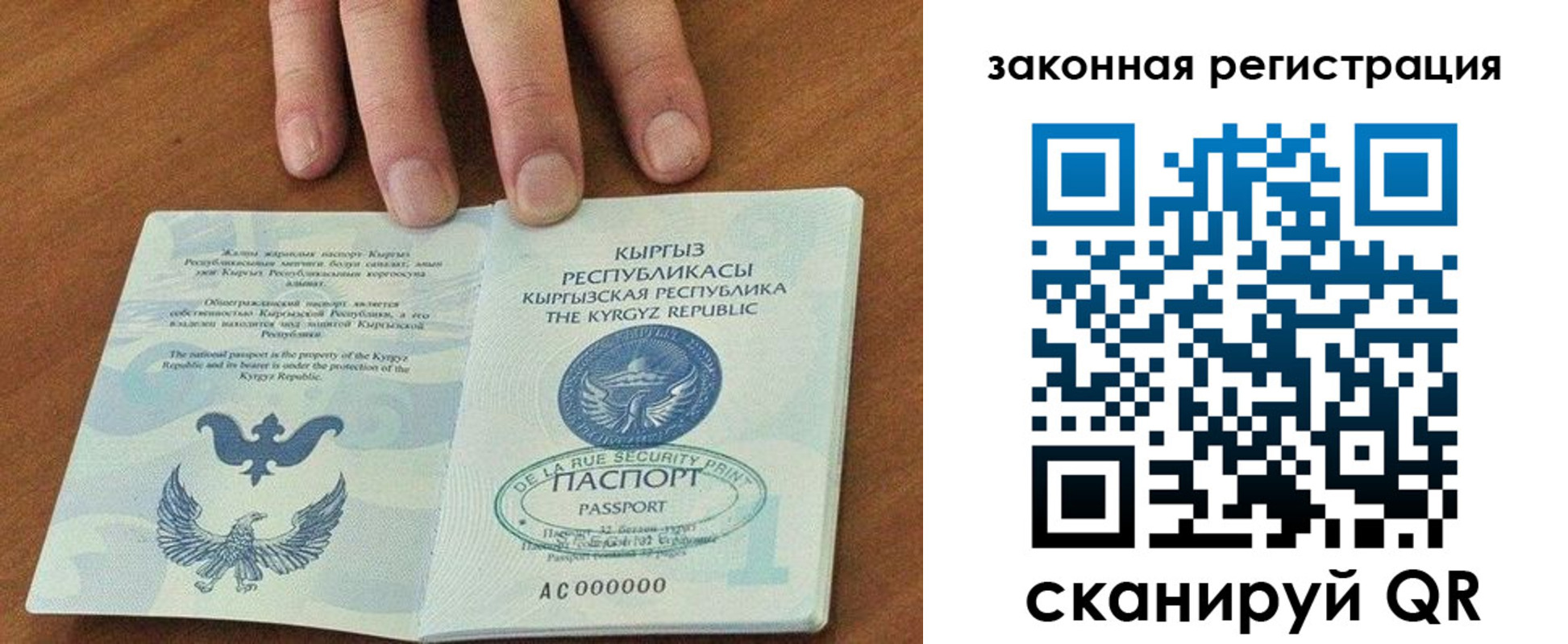 прописка гарантия в Зее